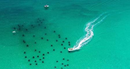 Beach Rental for 4 Guests in Inlet Beach, Emerald Coast, Picture 1