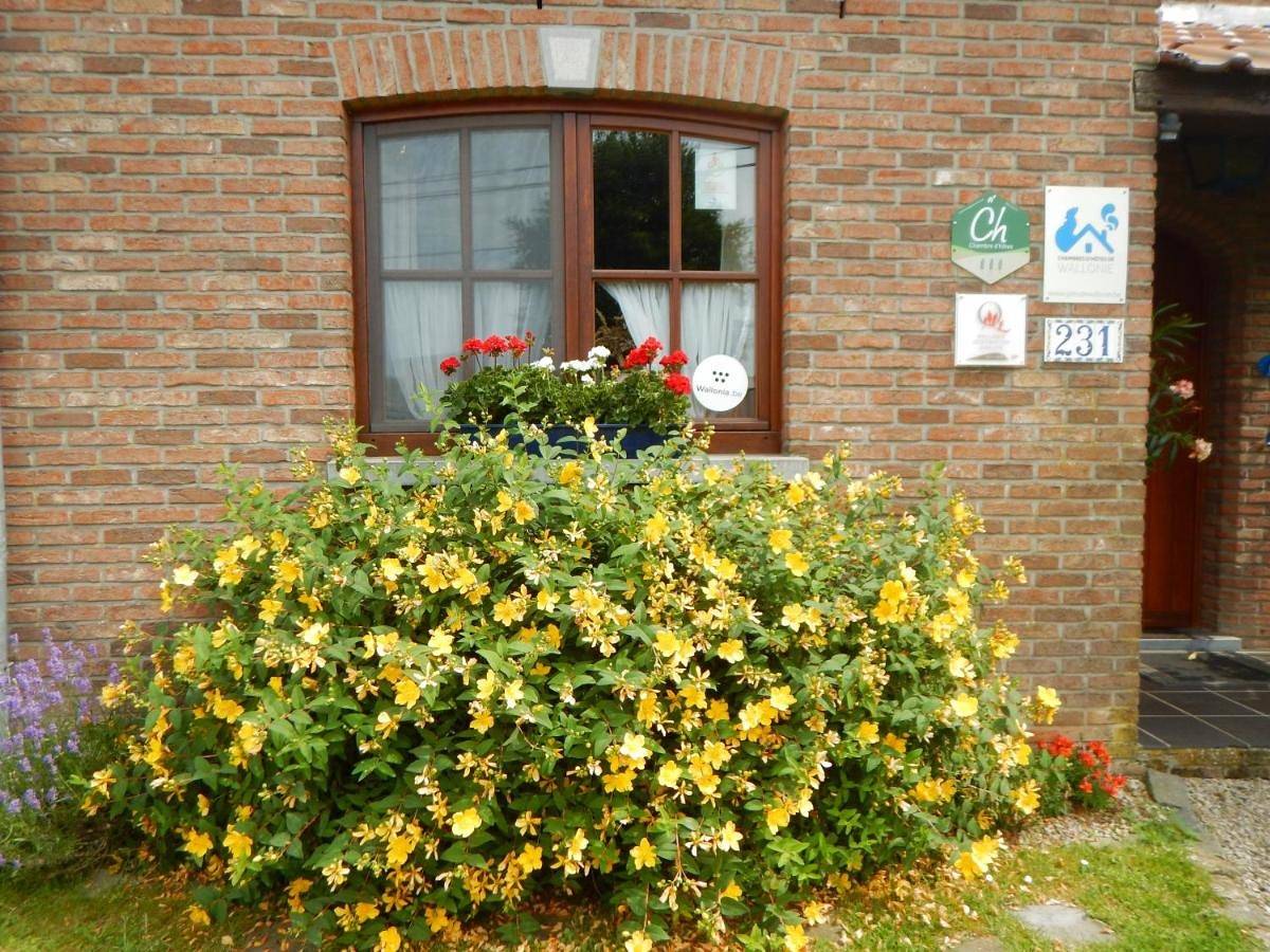 La Chrysalide in Mons (Hennegau), Henegouwen