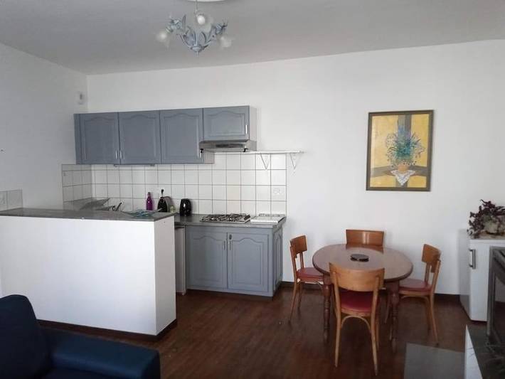 Gîte pour 4 personnes, avec piscine et jacuzzi, animaux acceptés à Oust - 4