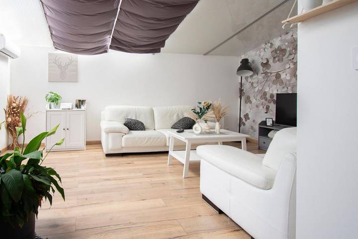 Location de vacances pour 7 personnes, avec jardin à Romorantin-Lanthenay - 3