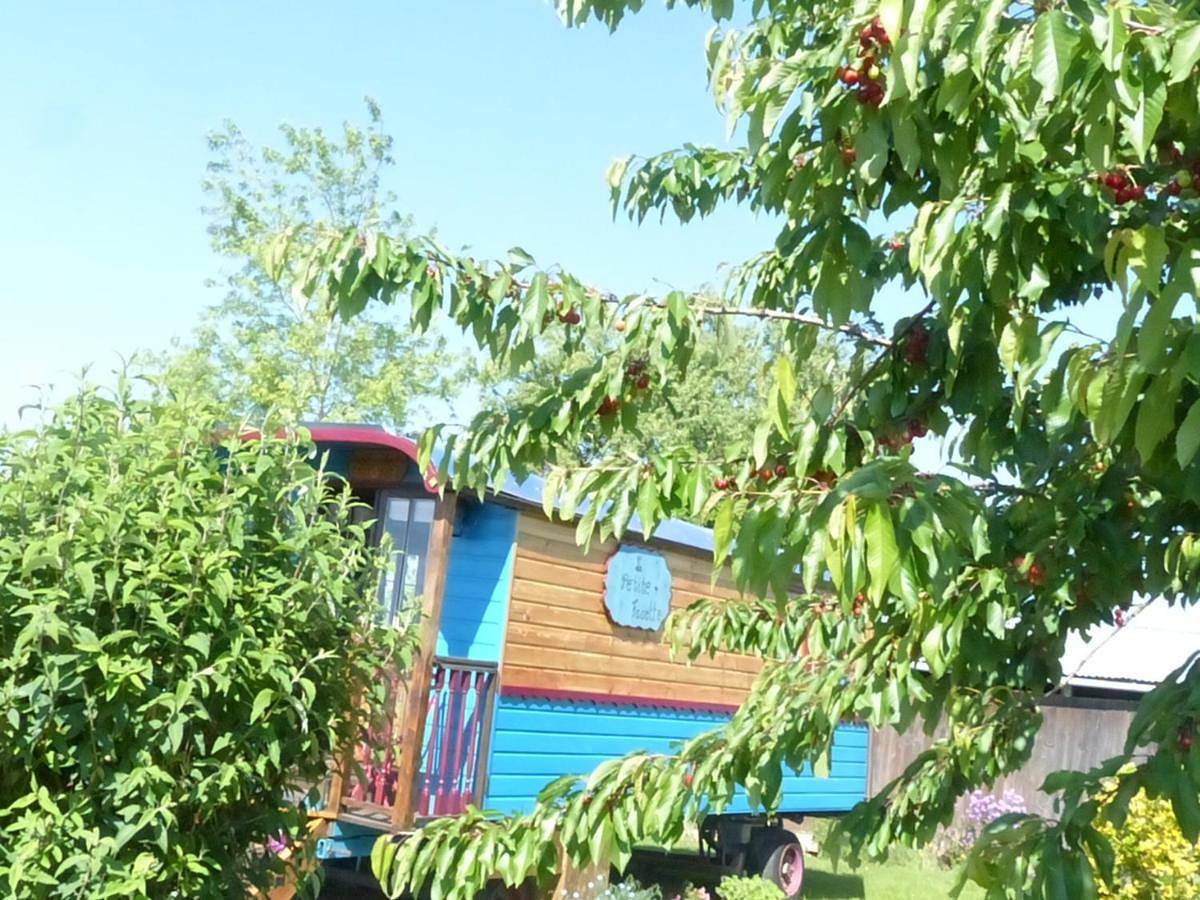 Gipsy Caravan in Augy-sur-Aubois, Saint-Amand-Montrond