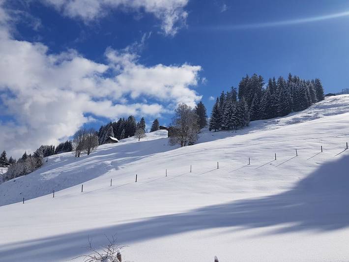 Huis Biedenkopf in Riezlern, Mittelberg