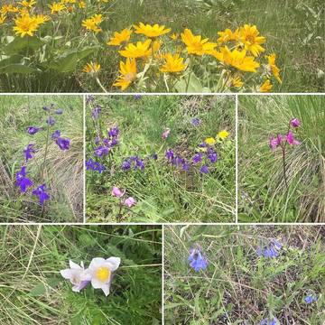 Chalet für 11 Personen in Montana, USA, Bild 3