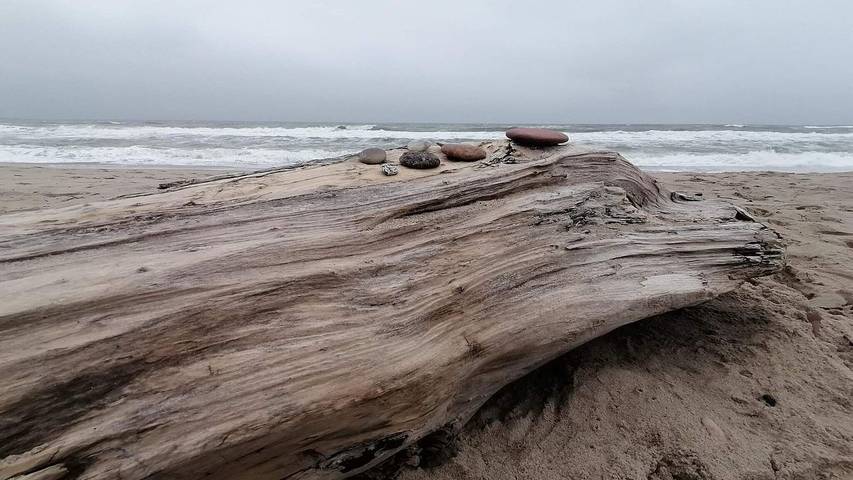 Ferienhaus für 9 Personen, mit Whirlpool und Sauna sowie Terrasse in Nissum Fjord - 4