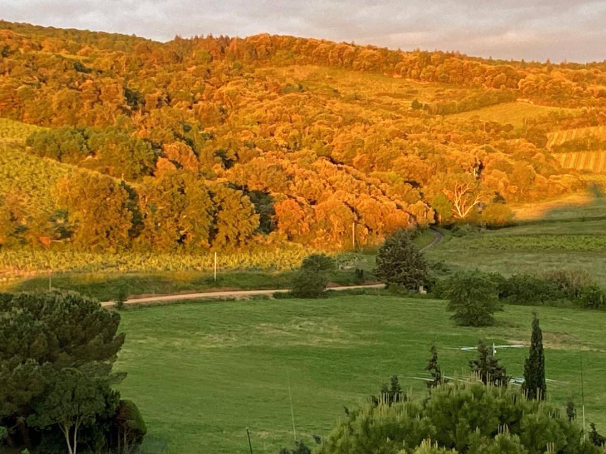 L'écrin vert in Villelongue-d'Aude, Région de Limoux