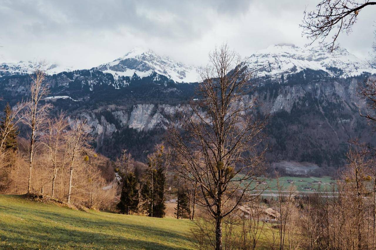 Appartement entier, Three-Bedroom Apartment in Brienzwiler, Arrondissement administratif d'Interlaken-Oberhasli