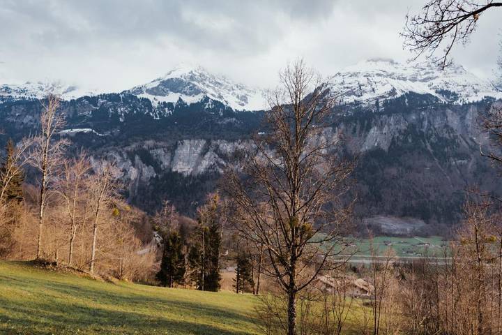 Gîte pour 6 personnes, avec vue ainsi que terrasse et sauna à Brienzwiler - 3