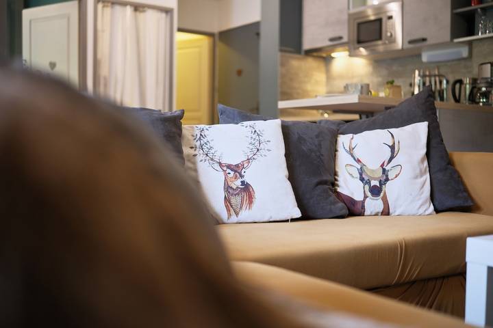 Appartement de vacances pour 6 personnes, avec balcon, animaux acceptés dans l' Isère - 4