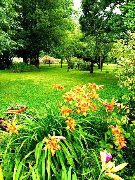Gîte pour 4 personnes, avec piscine et jardin à Pouillon - 2