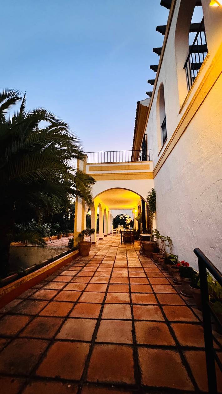 Casa rural para 12 personas, con Jardín en Tomares - 3