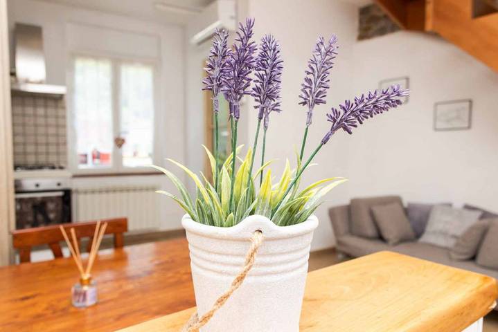 Gîte pour 3 personnes à Pignone - 4
