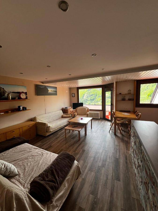 Gîte pour 4 personnes, avec terrasse dans Formigal - 2