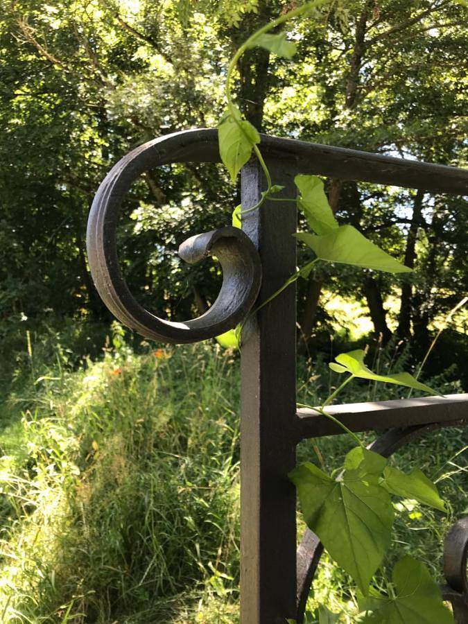 Location de vacances pour 3 personnes, avec vue ainsi que jardin et vue sur le lac dans Kalhausen - 4