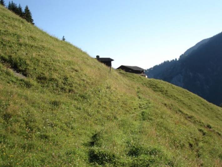 Ganze Ferienwohnung, Maiensäss Hütte Chischnés Deplazes, Surrein - Maiensäss Hütte Chischnés 1450 m ü M. in Sumvitg, Alpenarena