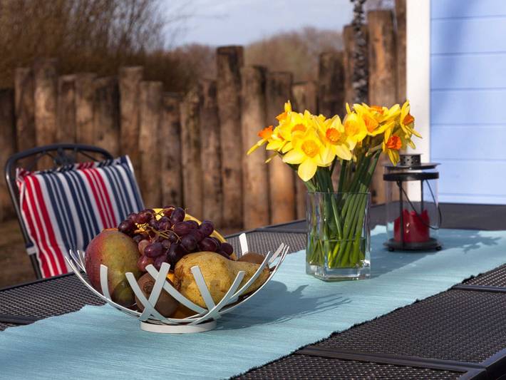 Ferienhaus für 8 Personen, mit Sauna und Terrasse sowie Garten, mit Haustier auf Fischland - Darß - Zingst - 2