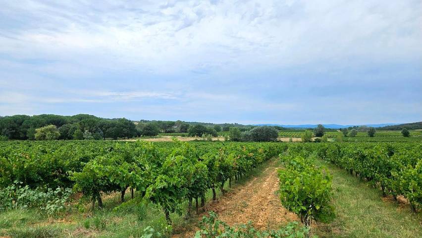 Gîte pour 2 personnes, avec piscine ainsi que jardin et jacuzzi à Baron - 3