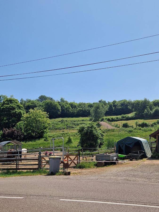 Location de vacances pour 10 personnes, avec jardin à Fresse - 2