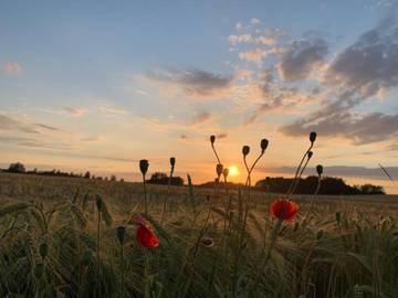 Bauernhof für 4 Personen in Struppen, Elbsandsteingebirge, Bild 4