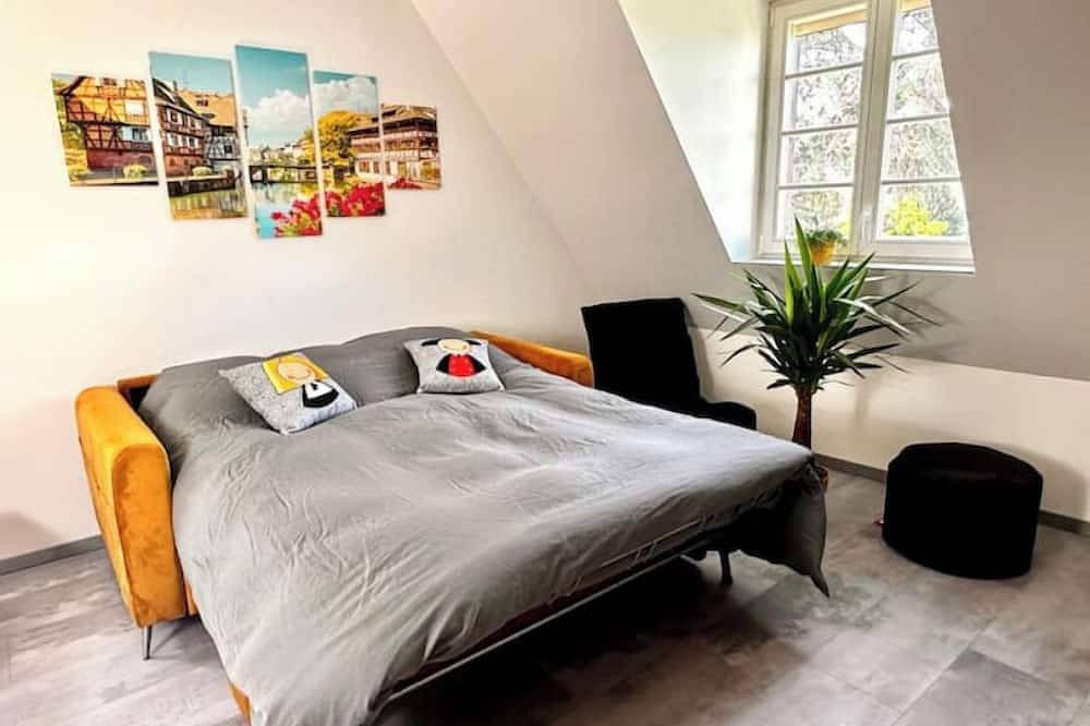 Apartamento entero, Duplex hyper center calme parking Confort 5* sans vis à vis  in Haguenau, Alsacia del Norte