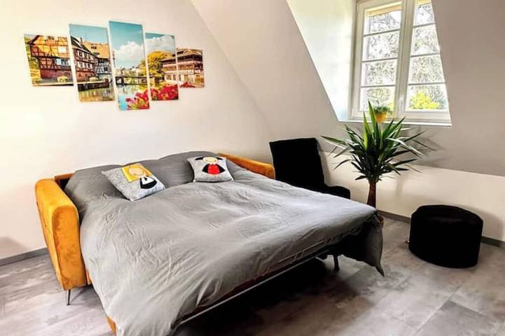 Gîte pour 6 personnes, animaux acceptés à Haguenau - 4