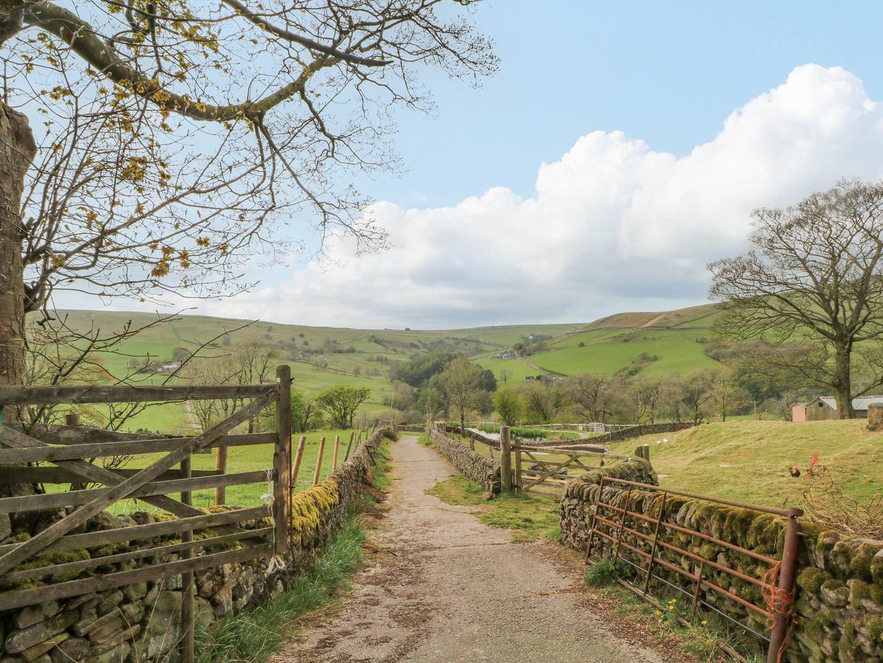 Swallows Nest in Macclesfield Forest and Wildboarclough, Cheshire East