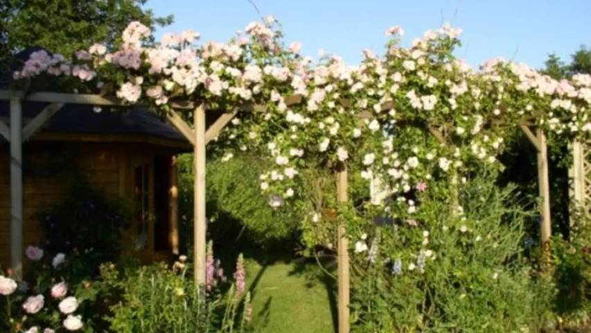 Ferienhaus für 5 Personen, mit Terrasse und Garten in Hasselberg - 4