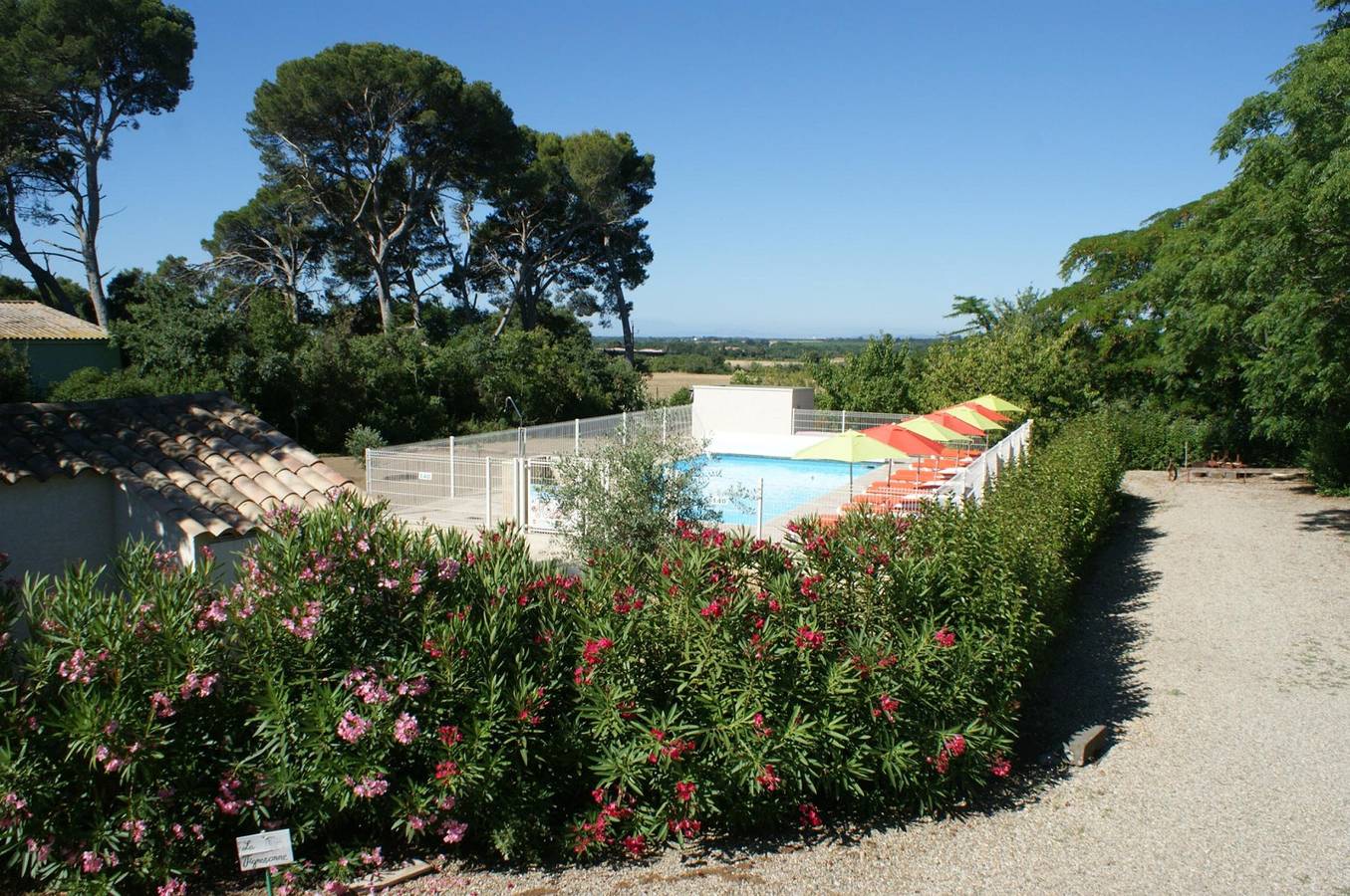 Les Vendangeurs in Vias, Côte méditerranéenne (France)