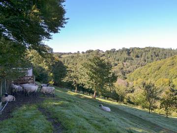 Holiday Rental for 2 People in South West England, Cornwall, Photo 4
