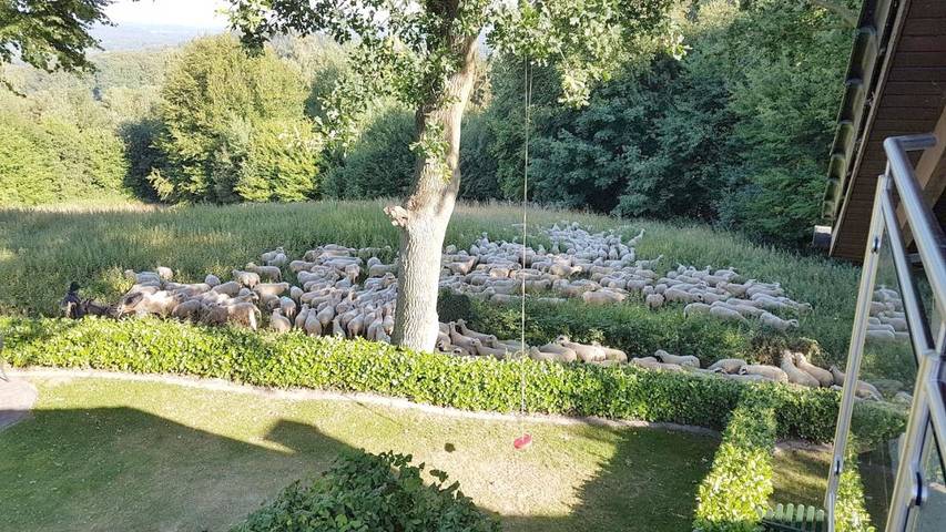 Ferienwohnung für 2 Personen, mit Terrasse und Garten sowie Ausblick in Tecklenburg - 4