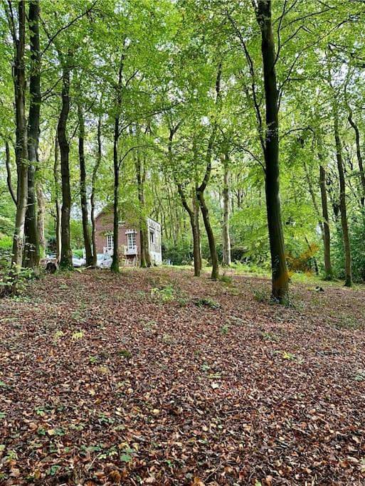 Three-Bedroom House in Bois de Cise, Ault