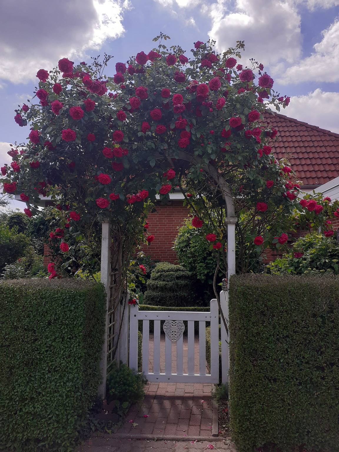 Ganze Ferienwohnung, Martens in Groß Wittensee, Rendsburg-Eckernförde