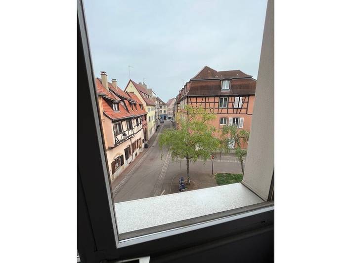Holiday apartment with 1 bedroom in Colmar, Colmar region