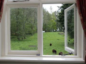 Glamping for 5 People in Shropshire, West Midlands, Photo 2