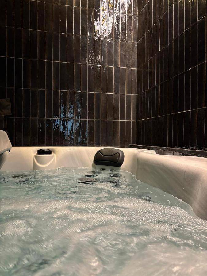 Loft dla 4 osób, z jacuzzi i sauna w Śląsk
