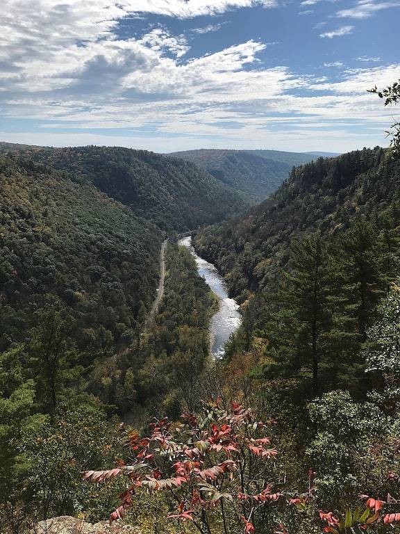Nettes Effizienz-Cottage nahe Pine Creek in Tioga County