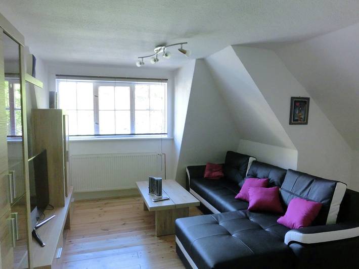 Ferienwohnung für 5 Personen, mit Terrasse, kinderfreundlich in Wildemann - 2