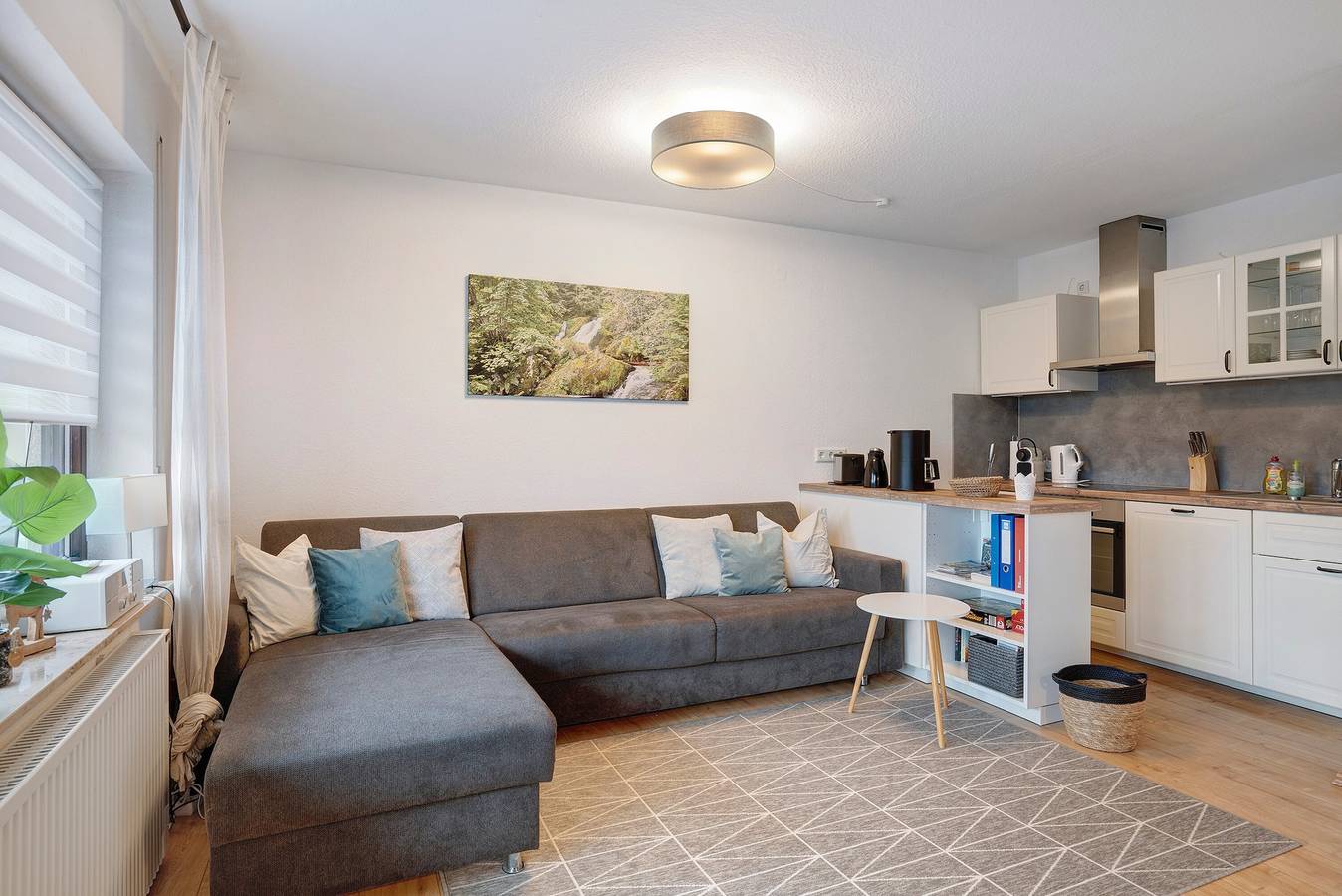 Ganze Wohnung, Gemütliche 2-Zimmer-Ferienwohnung mit Balkon und Talblick in Schönwald, Südschwarzwald