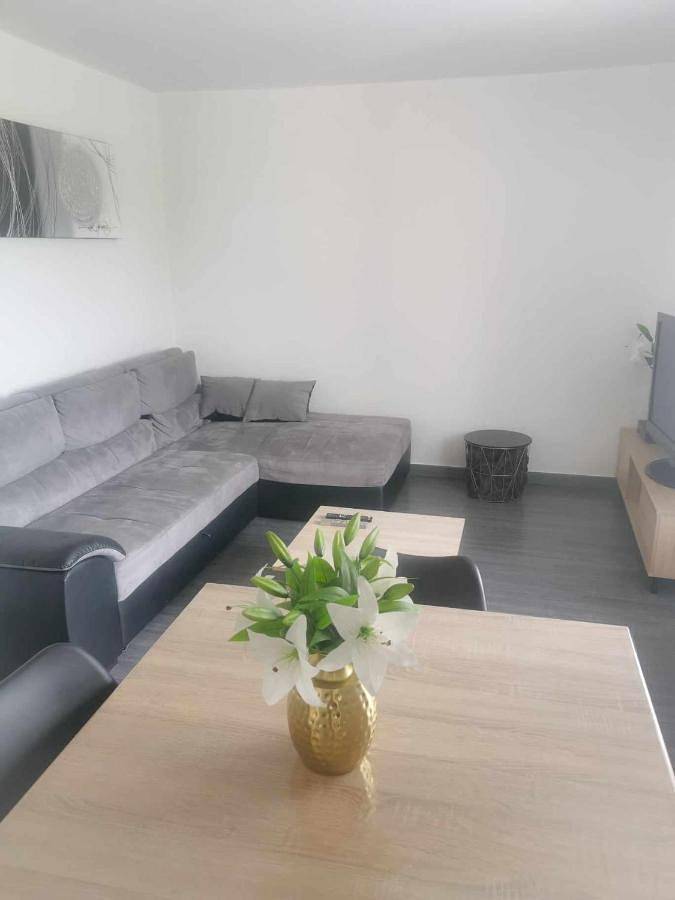 Gîte pour 5 personnes, adapté aux familles à Saint-Germain-Lespinasse - 4