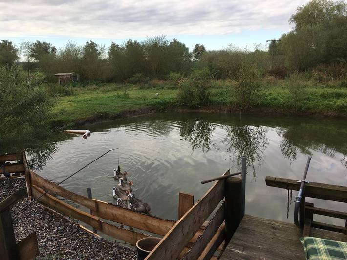 Bauernhaus für 4 Personen in Kröpelin - 4