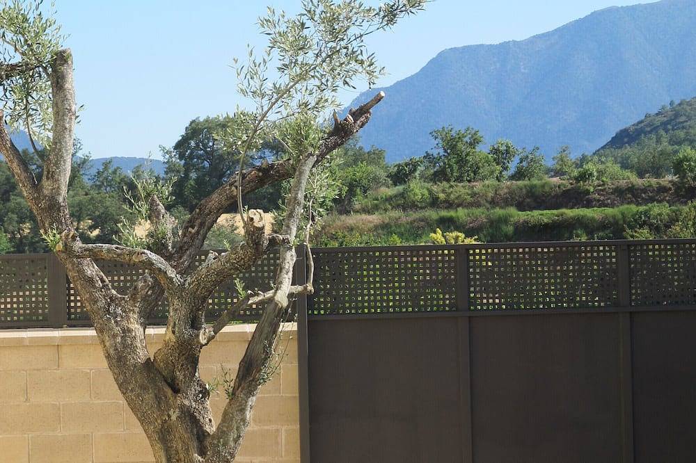 Cal Nenot, self-catering cottage with private pool and views of the Montsec in Tremp, Spanish Pyrenees