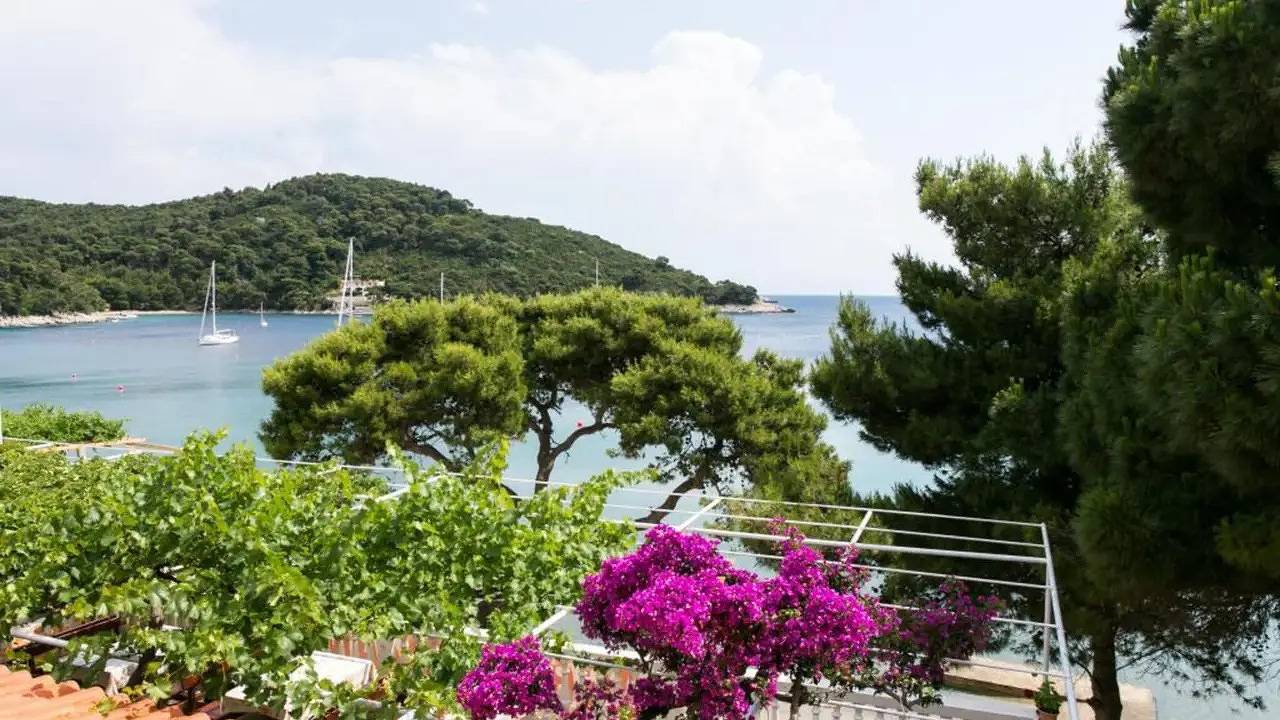 Ganze Ferienwohnung, Ferienwohnung für 4 Personen (40 m²) in Saplunara in Saplunara, Mljet
