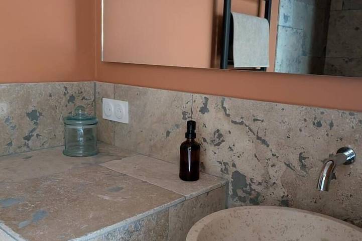 Location de vacances pour 10 personnes, avec jardin à Thurins - 4