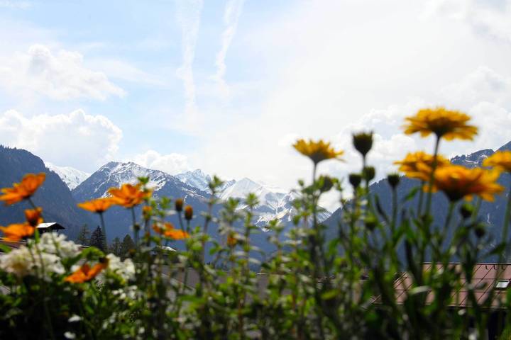 Ferienwohnung für 2 Personen, mit Balkon und Sauna in Oberstdorf - 4