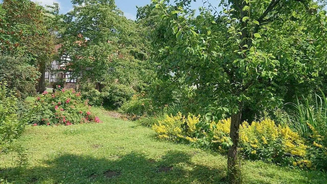 Ferienhaus für 4 Personen (65 m²) in Niederhorbach in Niederhorbach, Südliche Weinstraße