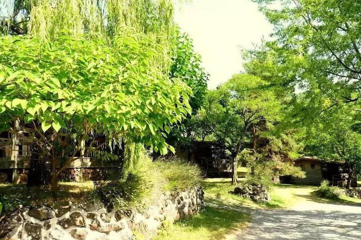 Gîte pour 4 personnes, avec terrasse, animaux acceptés à Darbres - 4