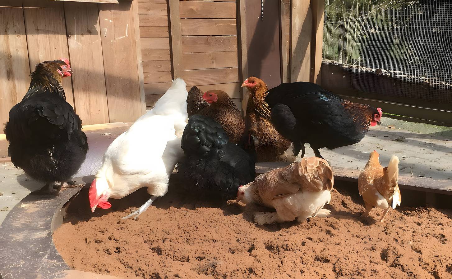 Apartamento inteiro, Apartamento 'Leistung 1' com Varanda e Wi-Fi in Loffingen, Floresta Negra do Sul