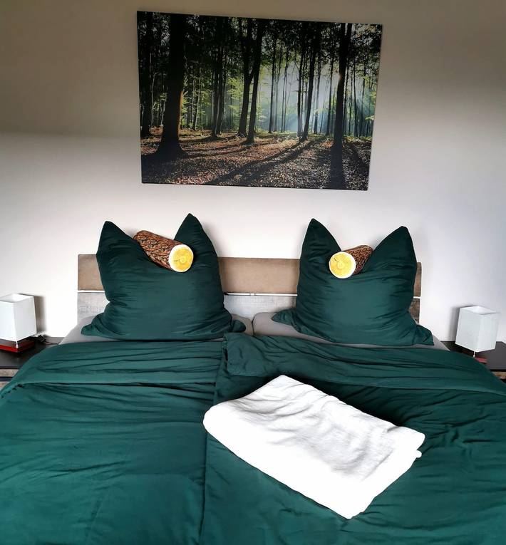 Gîte pour 3 personnes, avec jardin et terrasse, adapté aux familles à Konz - 3