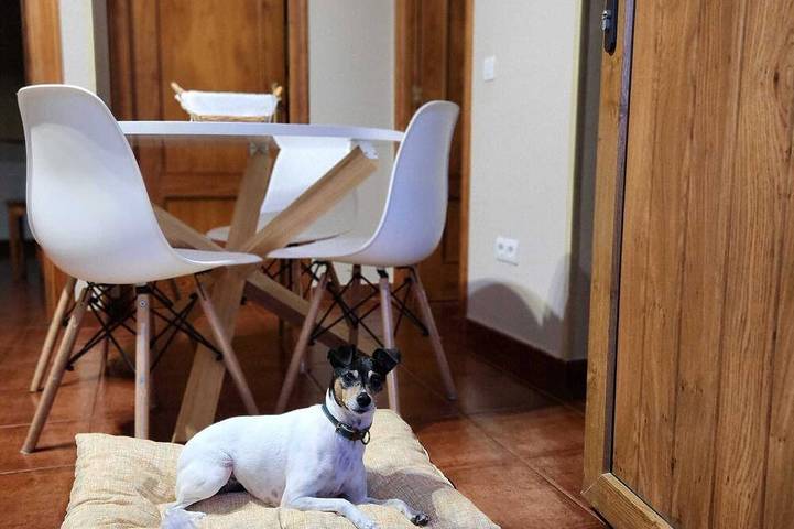 Ferienwohnung für 28 Personen, mit Garten - 1