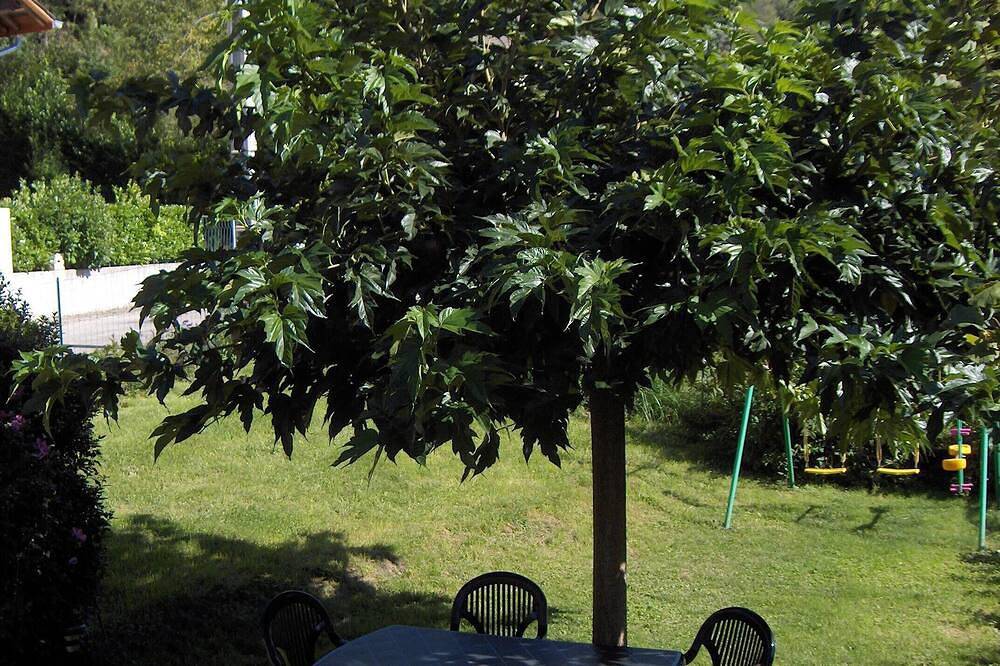 House 2 bedrooms 5 persons 1 bathroom 65 m2 35 km Aix Les Bains in Arvière-en-Valromey, Belley
