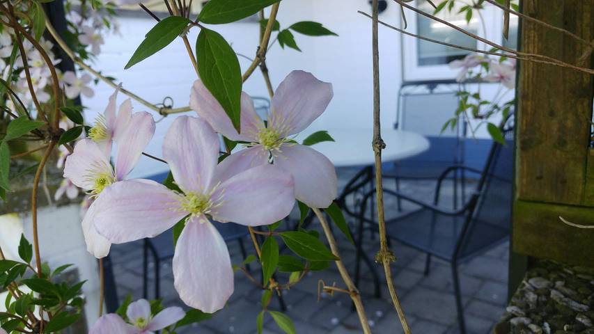 Ferienwohnung für 2 Personen, mit Garten in Maasholm-Bad - 4